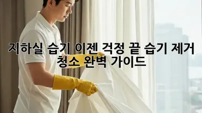 지하실 습기, 이젠 걱정 끝! 습기 제거 청소 완벽 가이드