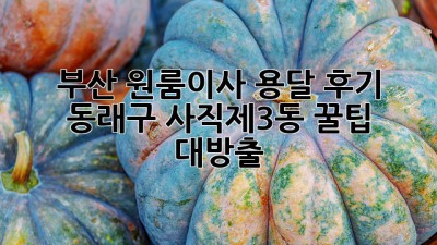 부산 원룸이사 용달 후기📦 동래구 사직제3동 꿀팁 대방출!